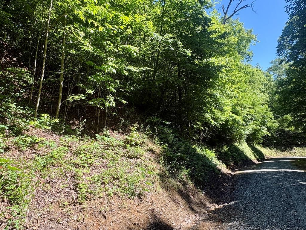 Photo of Lot 38 Middle Ridge, Whittier, NC 28789 (MLS # 26047441)