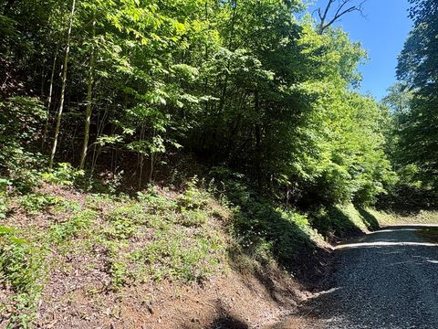 Photo of Lot 38 Middle Ridge, Whittier, NC 28789 (MLS # 26047441)