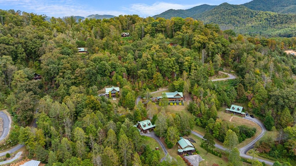 Photo of 80 Slow Lane, Whittier, NC 28789 (MLS # 26042371)