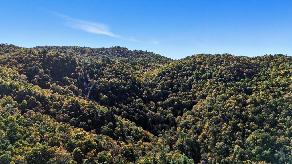 Scaly Mountain, North Carolina 28775, United States, 4 Bedrooms Bedrooms, ,4 BathroomsBathrooms,Residential,Active,228512