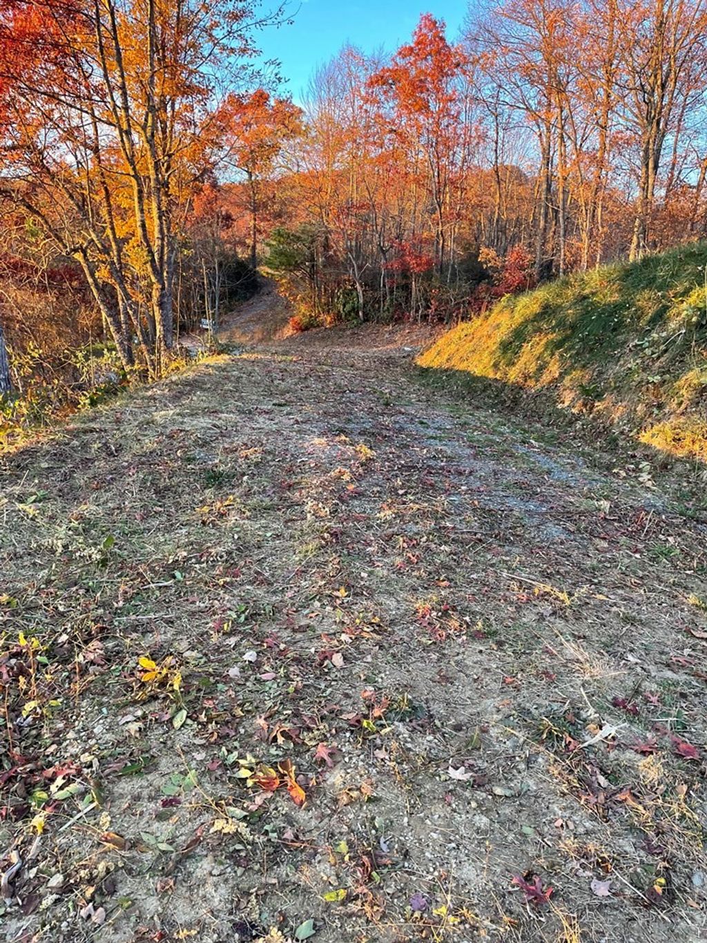 Photo of Lot 30 Alarka Highlands Rd, Bryson City, NC 28713 (MLS # 26042736)