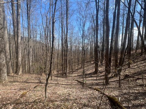 Photo of 200 Wolverine Ct, Waynesville, NC 28785 (MLS # 26046947)