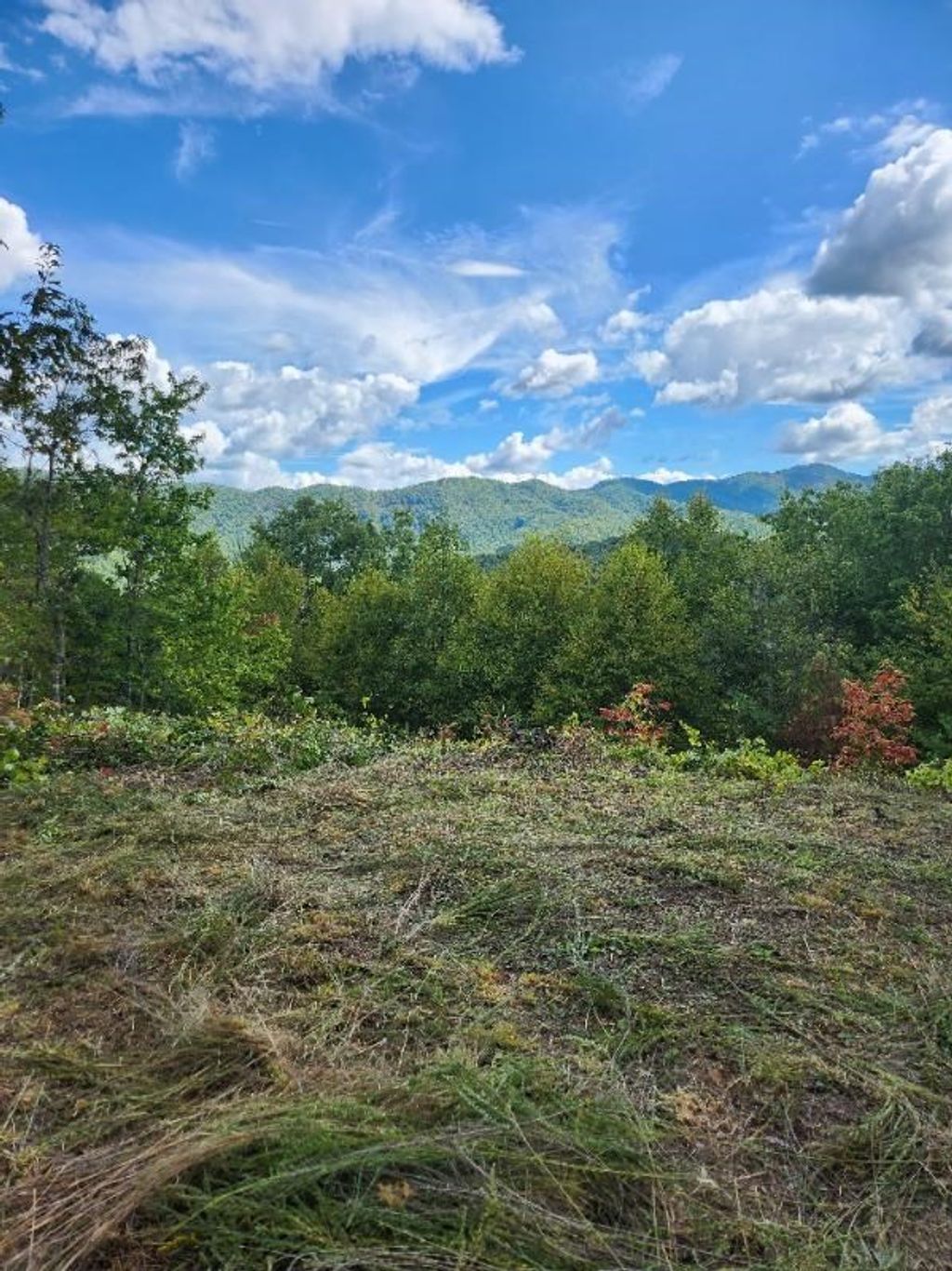 Photo of Lot 31 Fontana Lake Way, Bryson City, NC 28713 (MLS # 26038001)