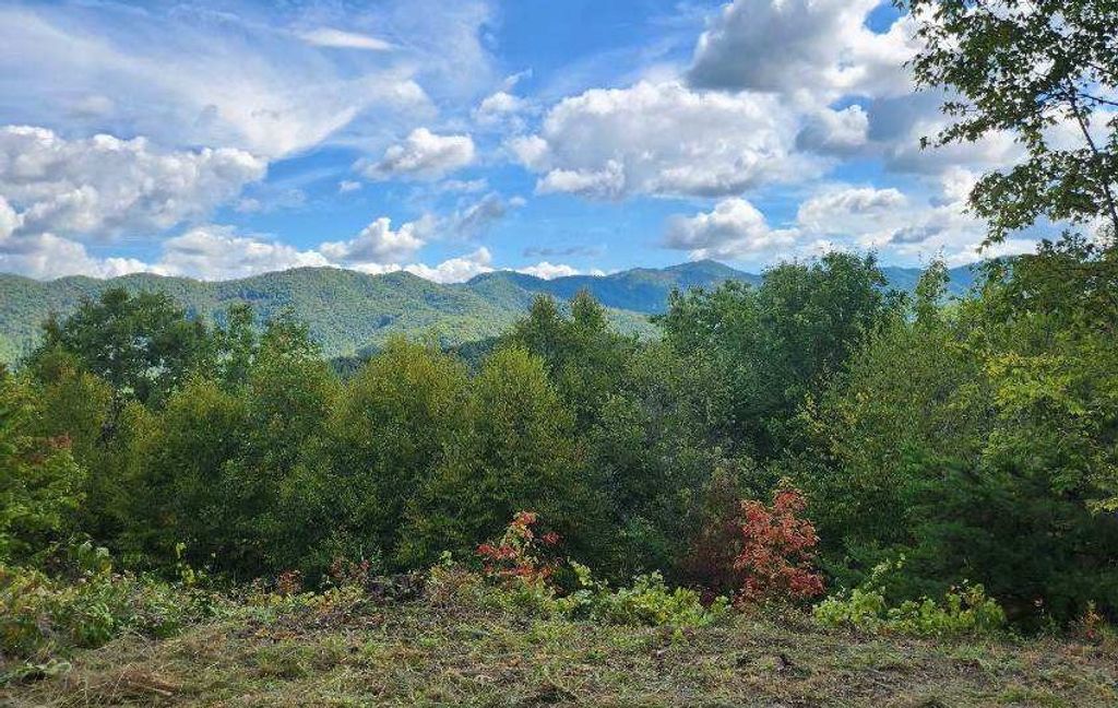 Photo of Lot 31 Fontana Lake Way, Bryson City, NC 28713 (MLS # 26038001)