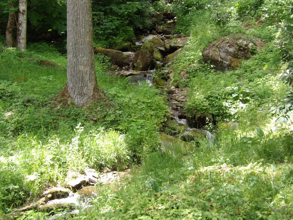 155 Waterfall Hollow