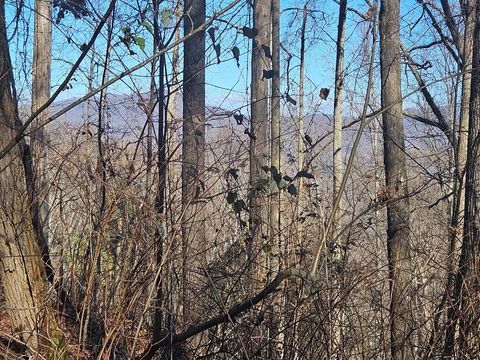 Photo of 00 Whisper Mountain Road, Franklin, NC 28734 (MLS # 26045257)
