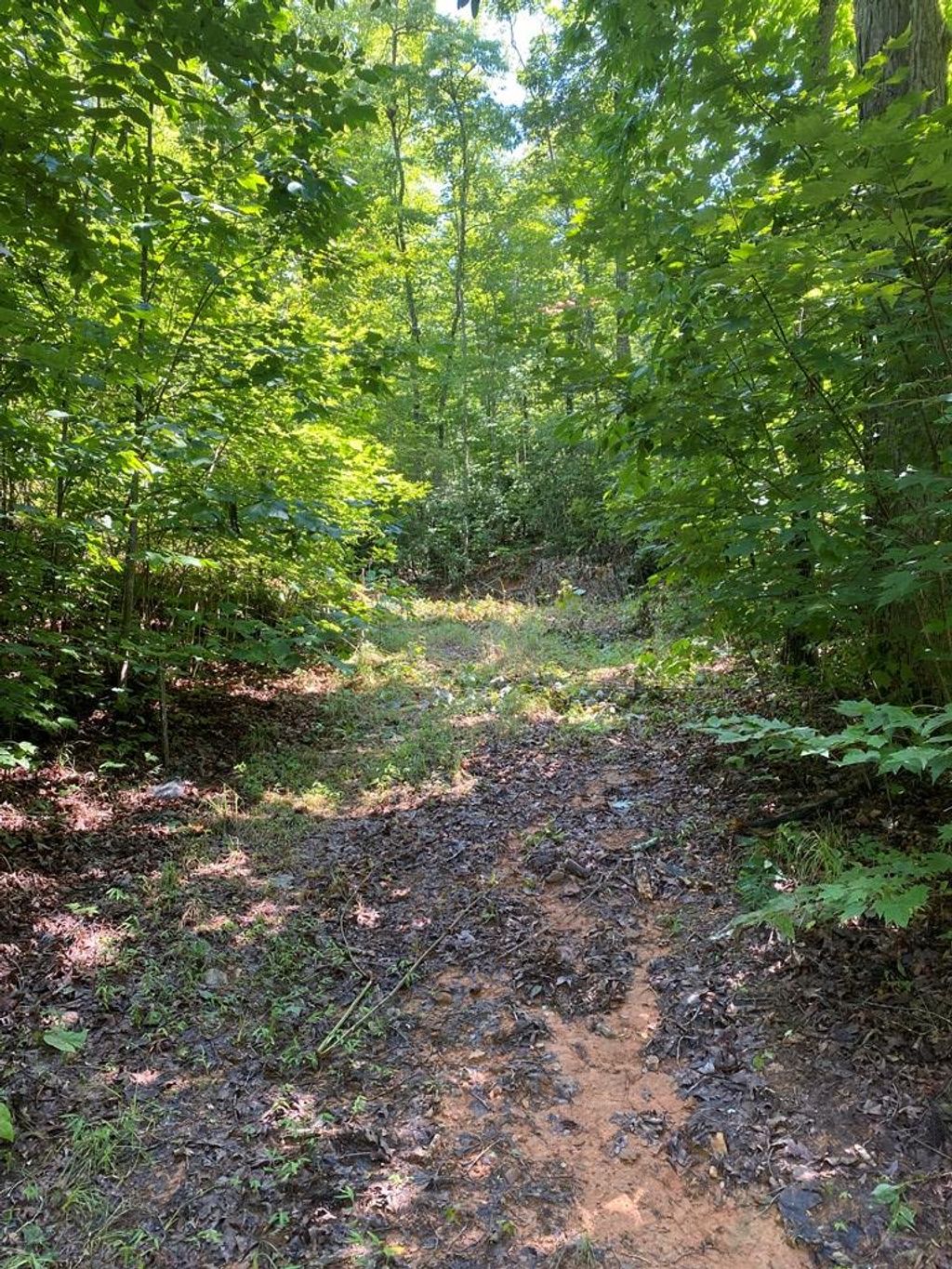 Photo of Lot 4 Red Dog Ln, Whittier, NC 28719 (MLS # 26041175)