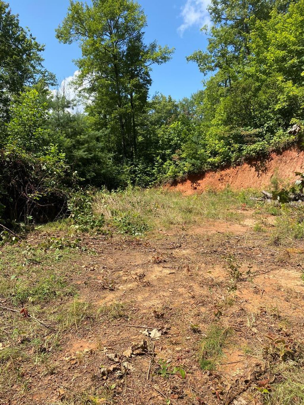 Photo of Lot 4 Red Dog Ln, Whittier, NC 28719 (MLS # 26041175)