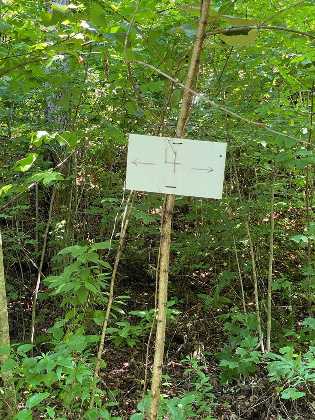 Photo of Lot 4 Red Dog Ln, Whittier, NC 28719 (MLS # 26041175)