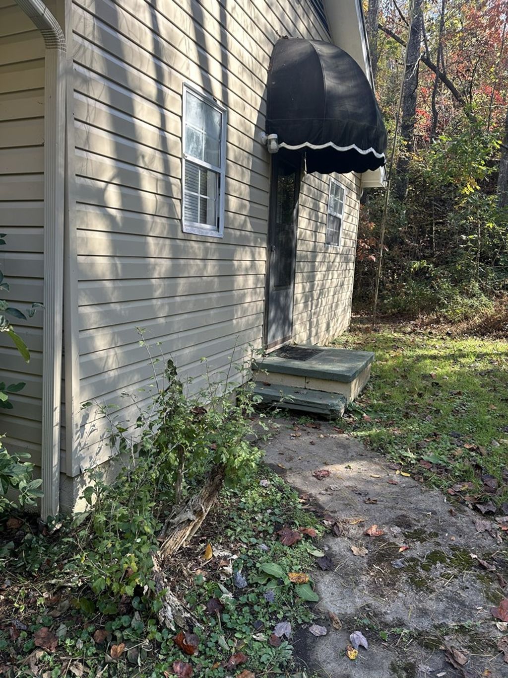 Photo of 2296 Snowbird Rd, Robbinsville (Graham), NC 28771 (MLS # 26042501)