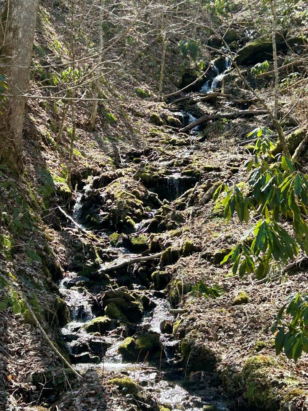 Photo of 0 Wild Turkey Drive, Whittier, NC 28789 (MLS # 26040837)