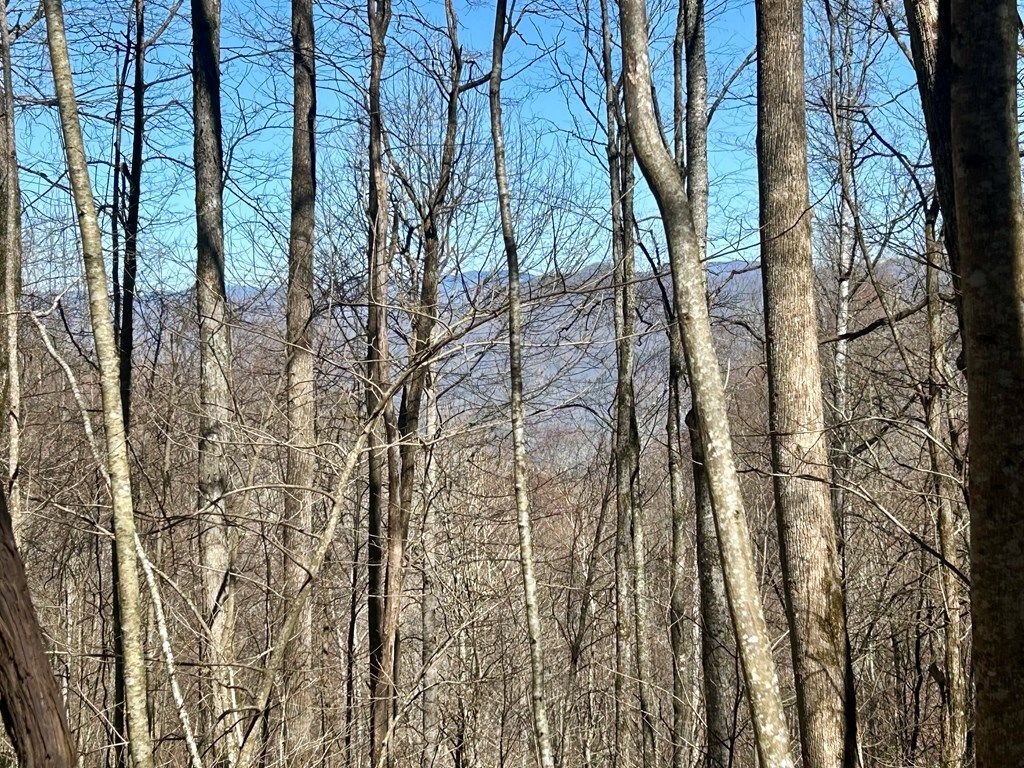 Photo of 0 Wild Turkey Drive, Whittier, NC 28789 (MLS # 26040837)