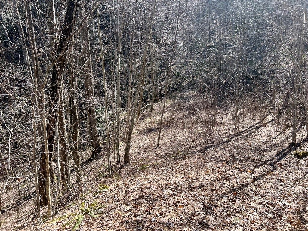 Photo of 0 Wild Turkey Drive, Whittier, NC 28789 (MLS # 26040837)