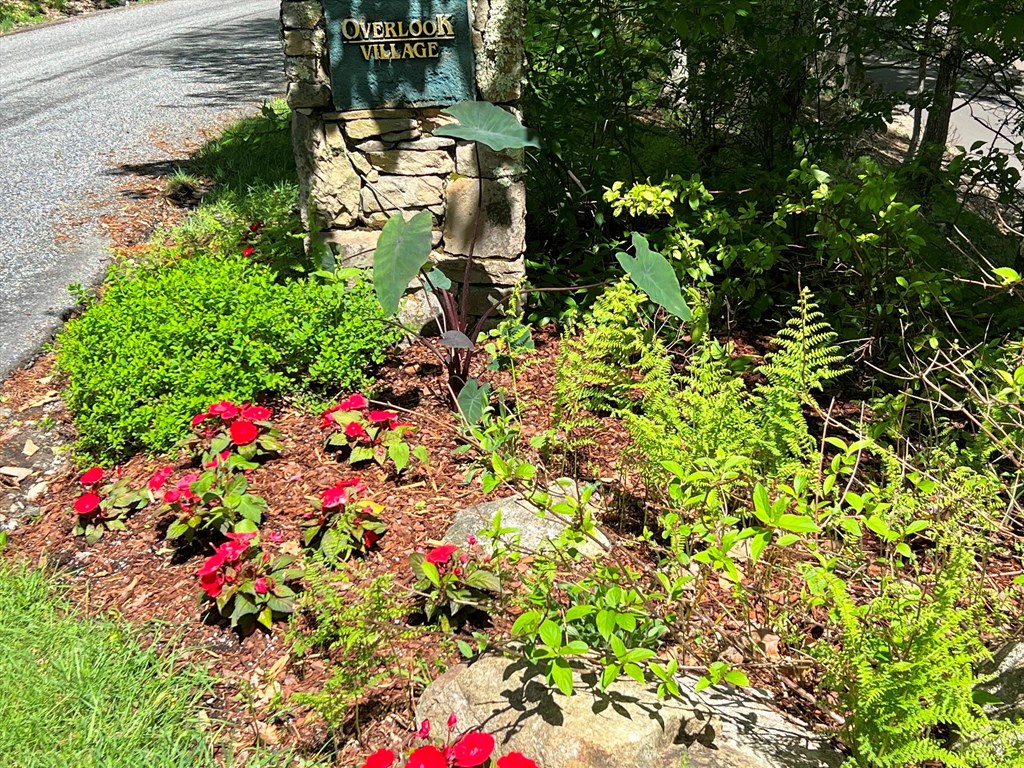 TBD Goldenleaf Road