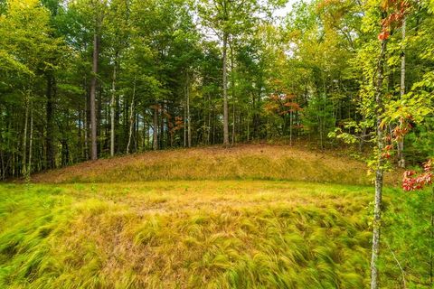 Photo of Lot 2 Winding Way, Bryson City, NC 28713 (MLS # 26042943)