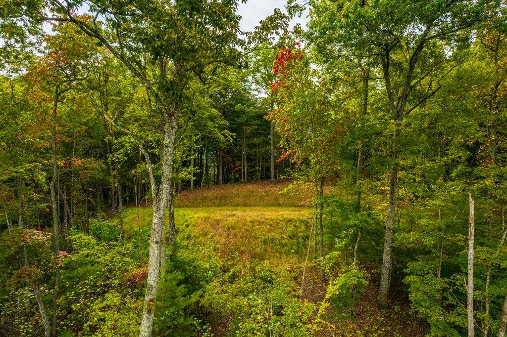 Photo of Lot 2 Winding Way, Bryson City, NC 28713 (MLS # 26042943)