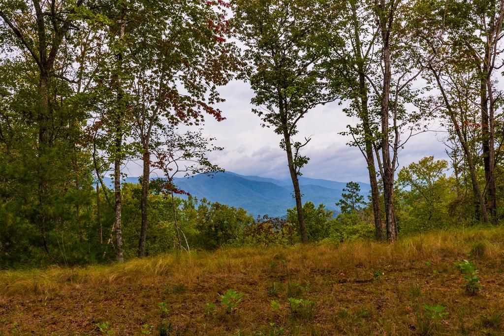 Photo of Lot 2 Winding Way, Bryson City, NC 28713 (MLS # 26042943)
