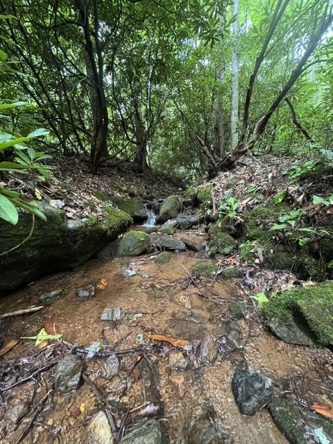 1285 Hemlock Falls Drive