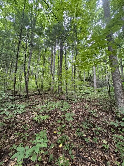 1285 Hemlock Falls Drive