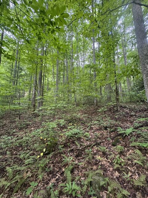 1285 Hemlock Falls Drive