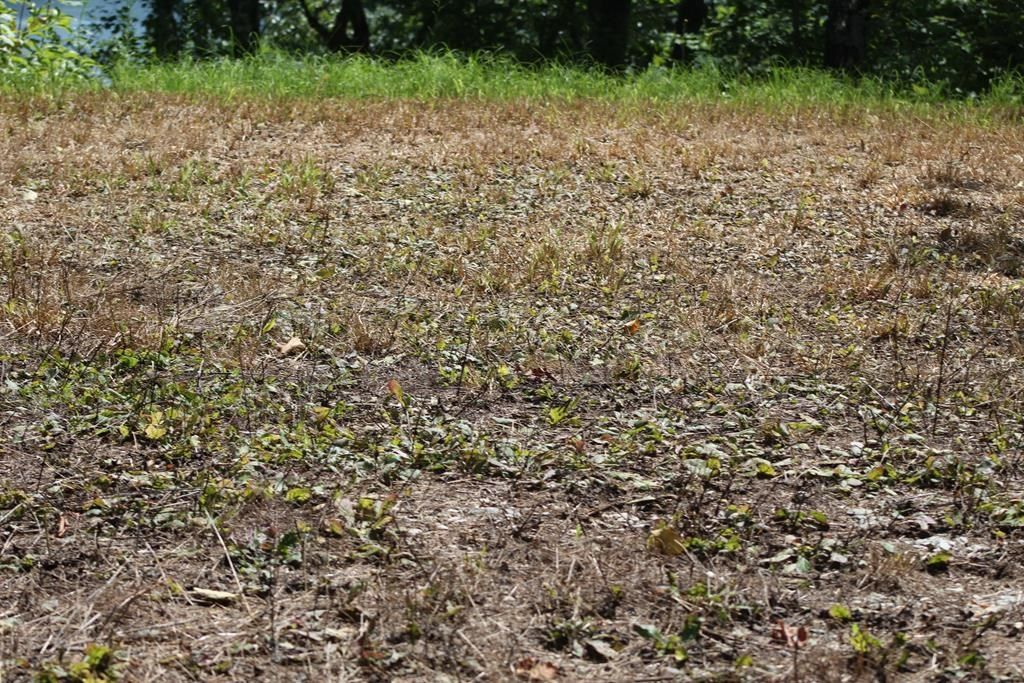 Photo of Lot 18 Fontana Trace, Almond, NC 28702 (MLS # 26042454)