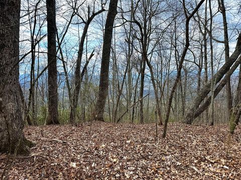 Photo of Lot 42 Lone Oak Ridge, Franklin, NC 28734 (MLS # 26047134)