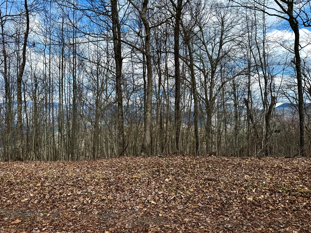 Lot 42 Lone Oak Ridge