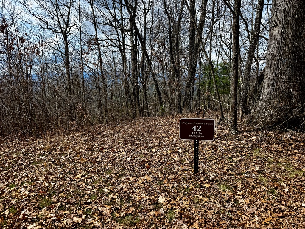 Lot 42 Lone Oak Ridge