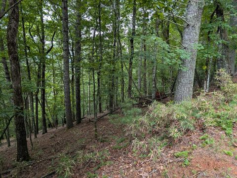Photo of 00 Chestnut Hill Dr, Franklin, NC 28734 (MLS # 26041646)