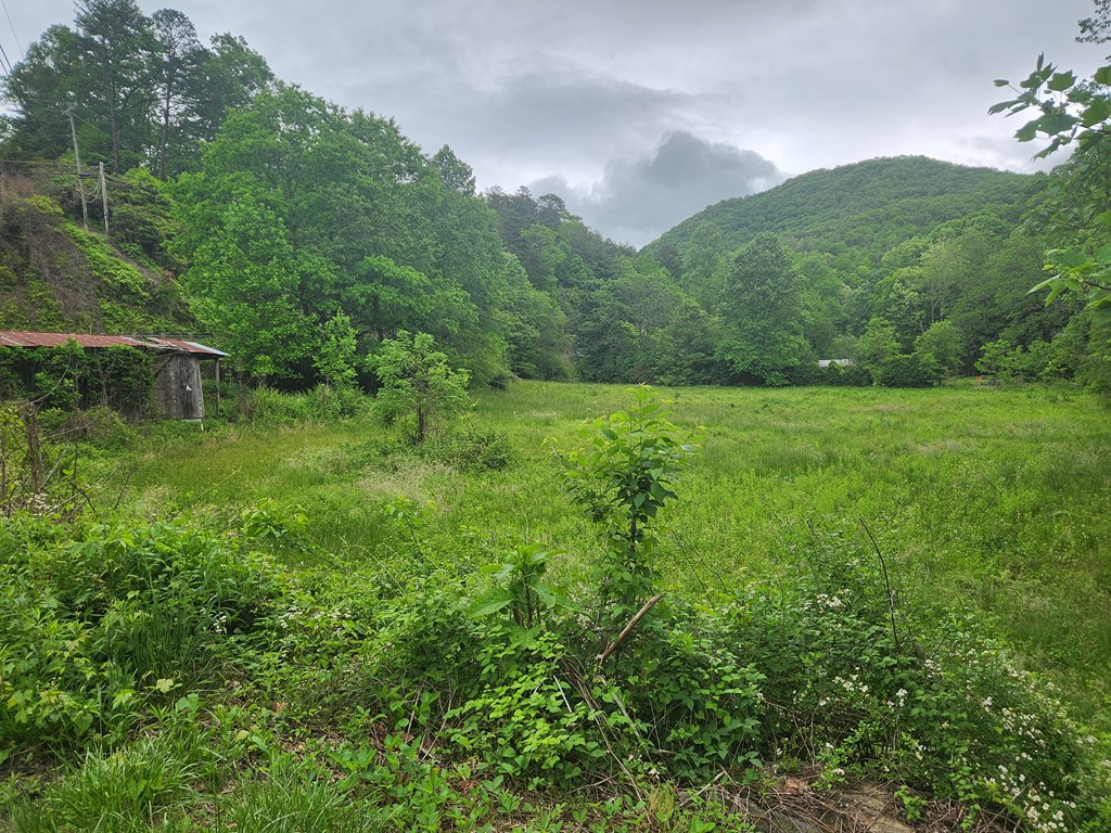 0 Lee Cochran Rd