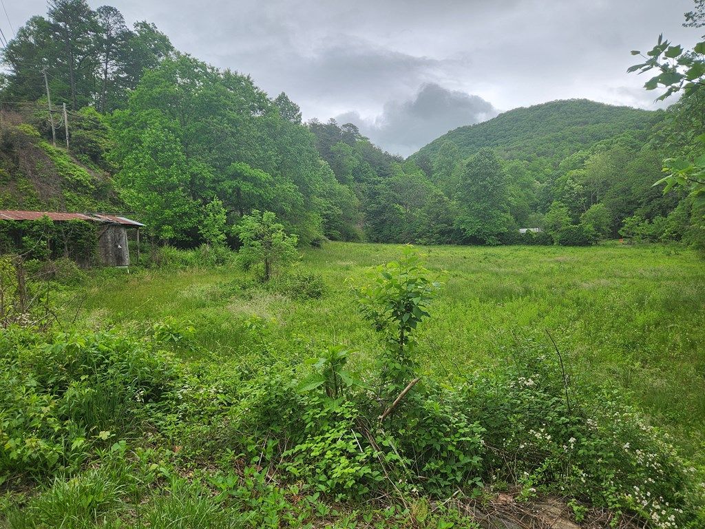 Photo of 0 Lee Cochran Rd, Bryson City, NC 28713 (MLS # 26047163)