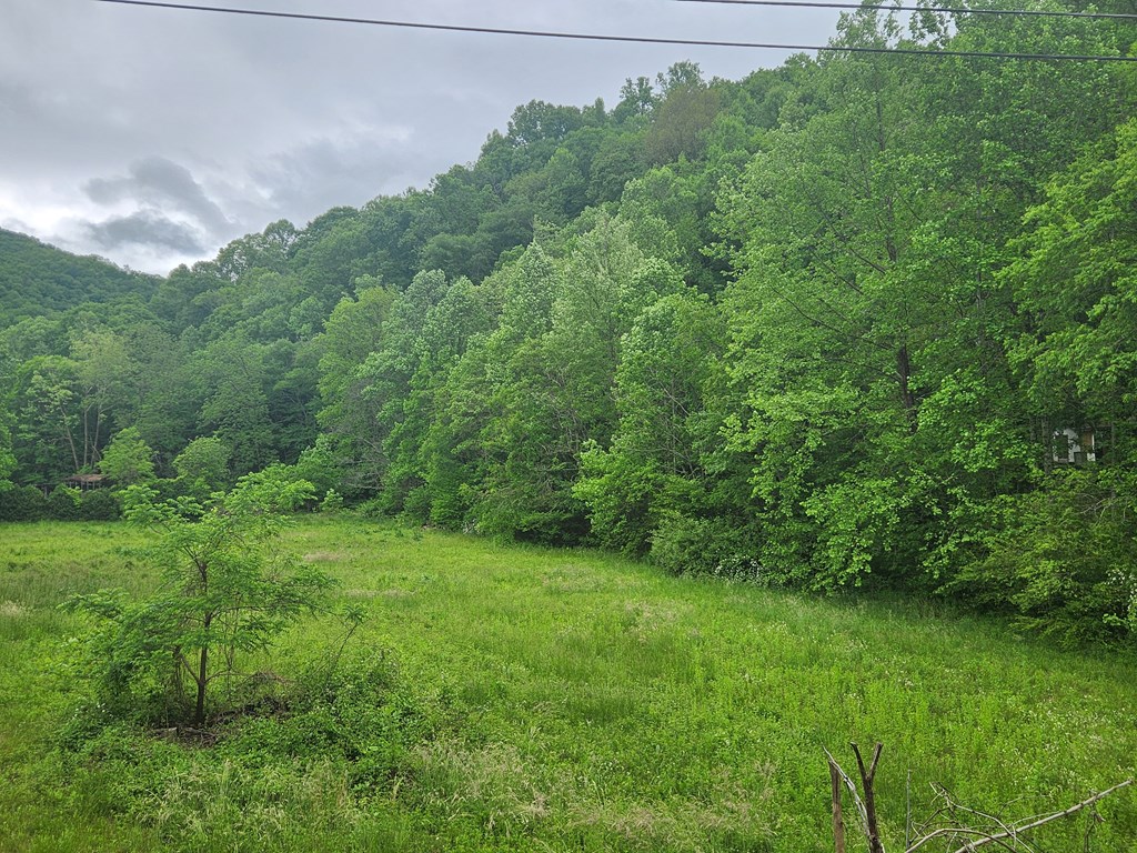 0 Lee Cochran Rd