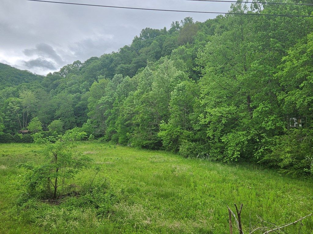 Photo of 0 Lee Cochran Rd, Bryson City, NC 28713 (MLS # 26047163)
