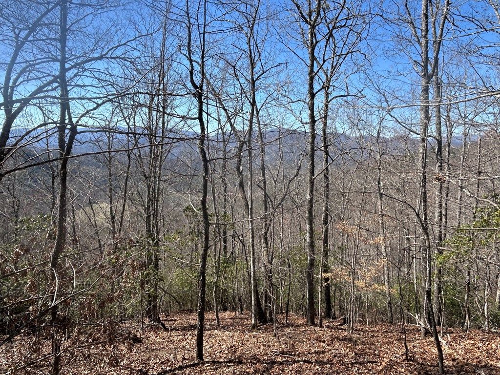 Photo of Top of Parris Field Rd - Lot 39, Bryson City, NC 28713 (MLS # 26041569)