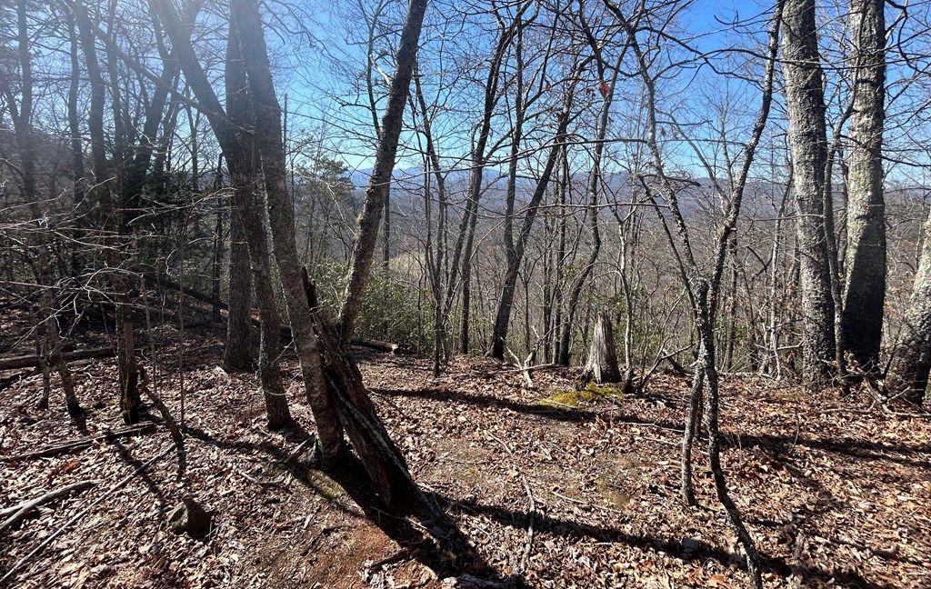 Photo of Top of Parris Field Rd - Lot 39, Bryson City, NC 28713 (MLS # 26041569)