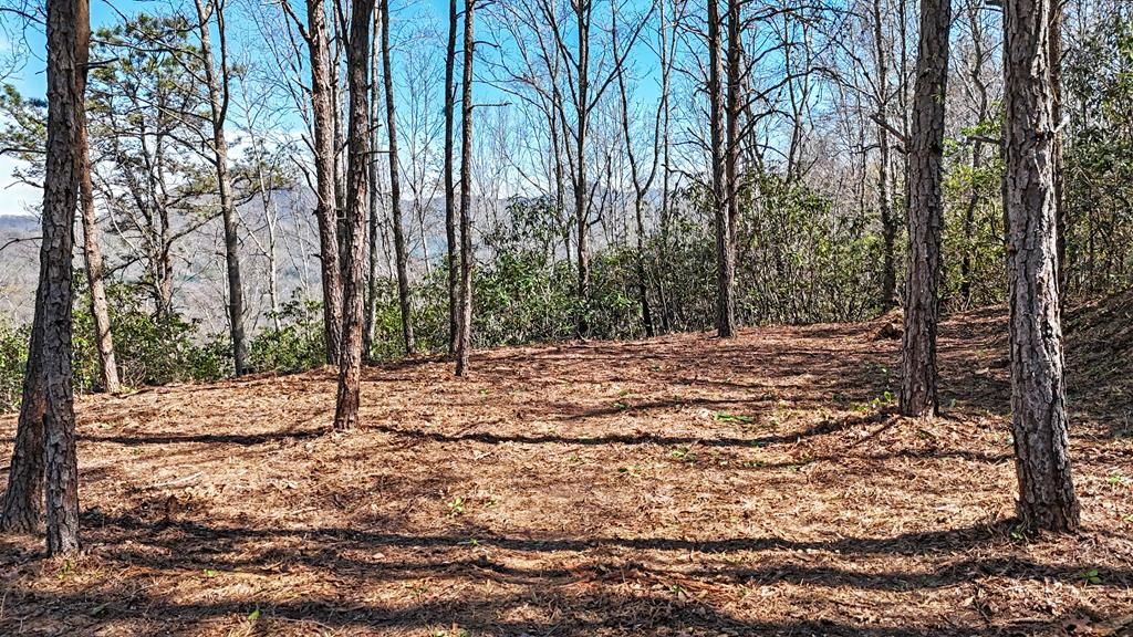 Photo of 247 Red Hawk Blf, Sylva, NC 28779 (MLS # 26046893)
