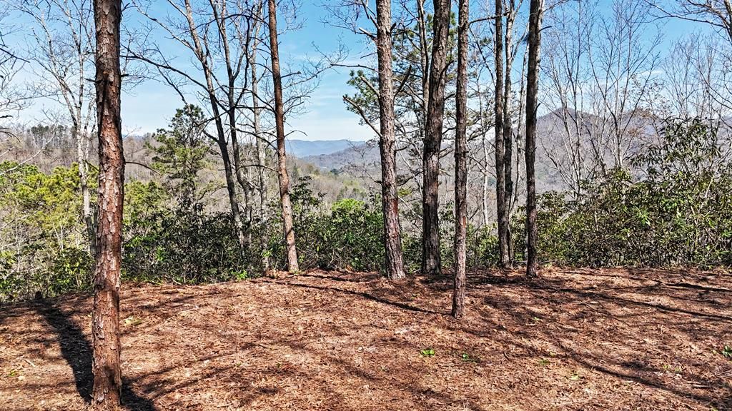Photo of 247 Red Hawk Blf, Sylva, NC 28779 (MLS # 26046893)