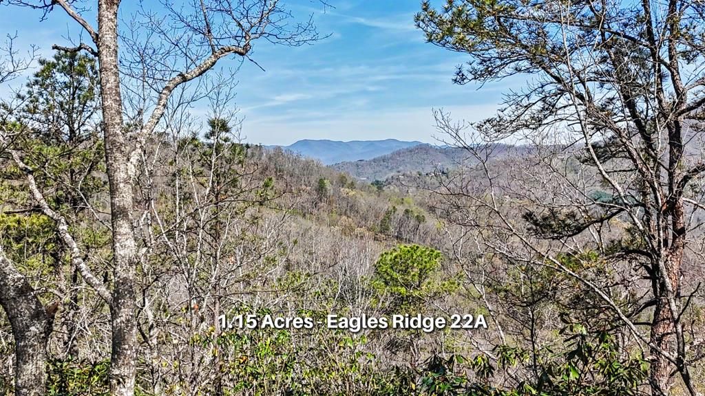 Photo of 247 Red Hawk Blf, Sylva, NC 28779 (MLS # 26046893)
