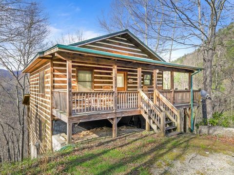 Photo of 479 Noon Day Sun Rdg, Topton, NC 28781 (MLS # 26046889)