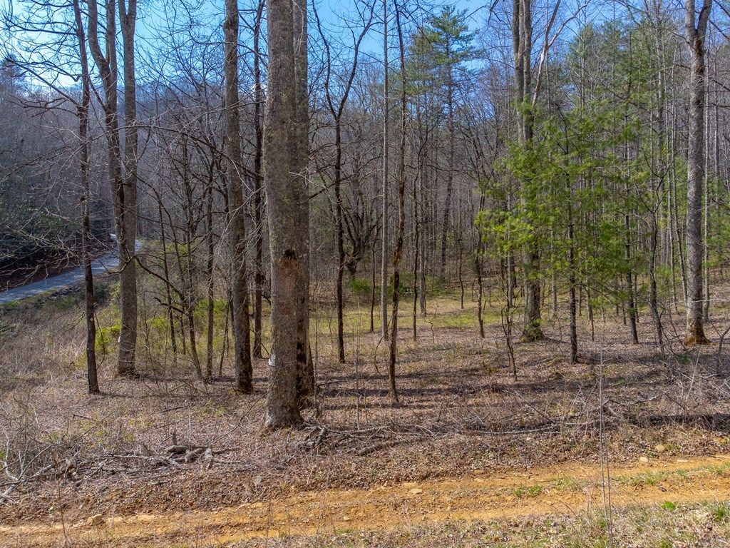Photo of 47.52 ac Little Snowbird Rd, Robbinsville (Graham), NC 28771 (MLS # 26046682)