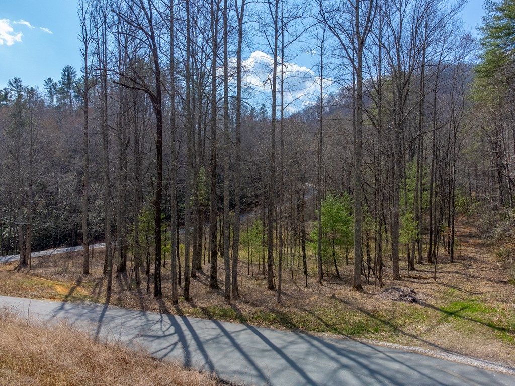 Photo of 47.52 ac Little Snowbird Rd, Robbinsville (Graham), NC 28771 (MLS # 26046682)