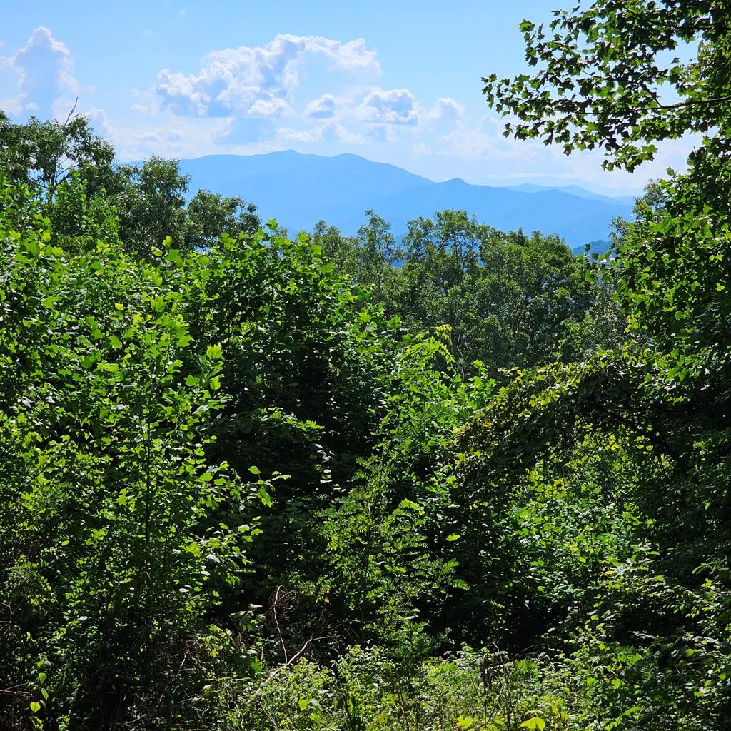 Photo of 0 Lot 2c Pigeon Creek Road, Bryson City, NC 28713 (MLS # 26041838)
