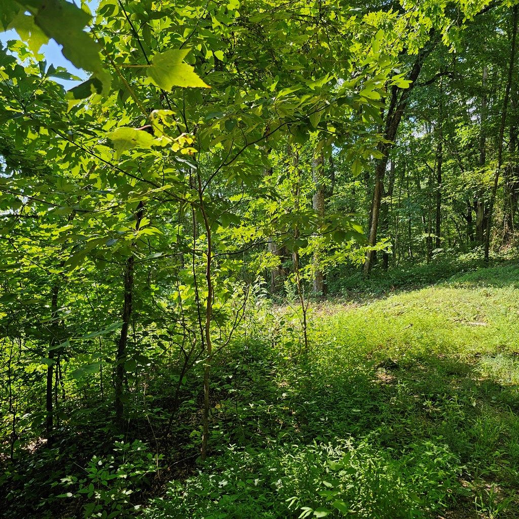 Photo of 0 Lot 2c Pigeon Creek Road, Bryson City, NC 28713 (MLS # 26041838)