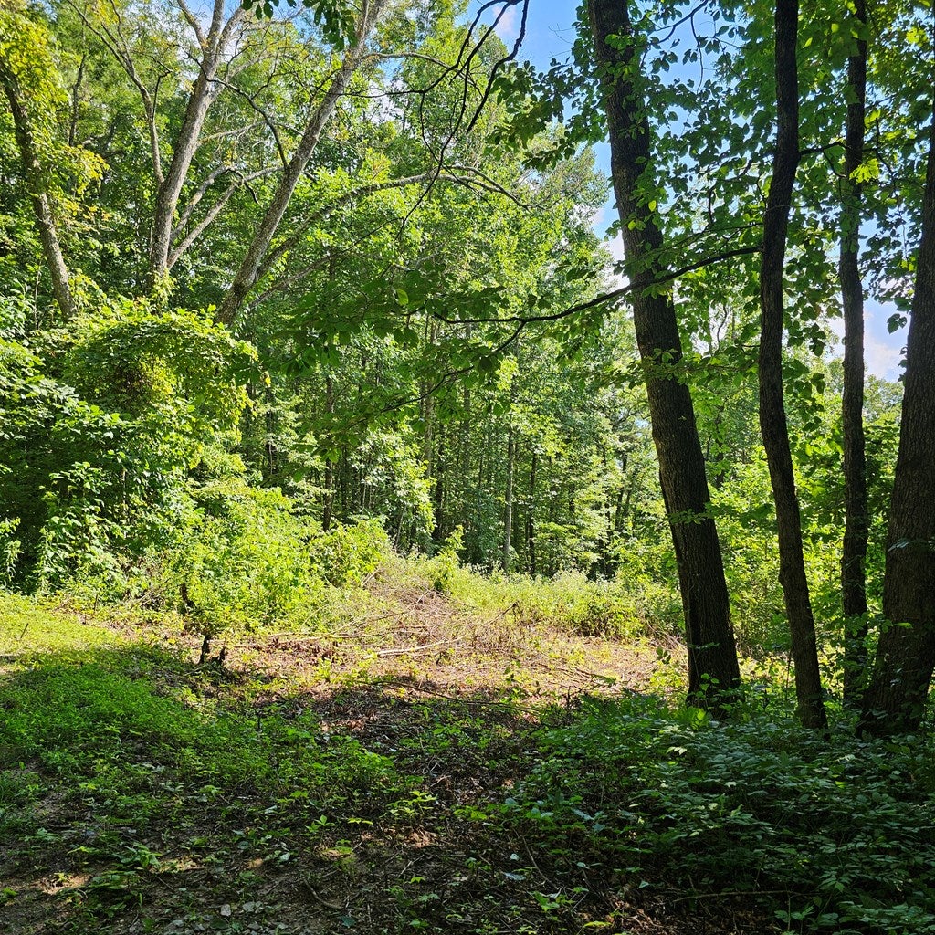 0 Lot 2c Pigeon Creek Road