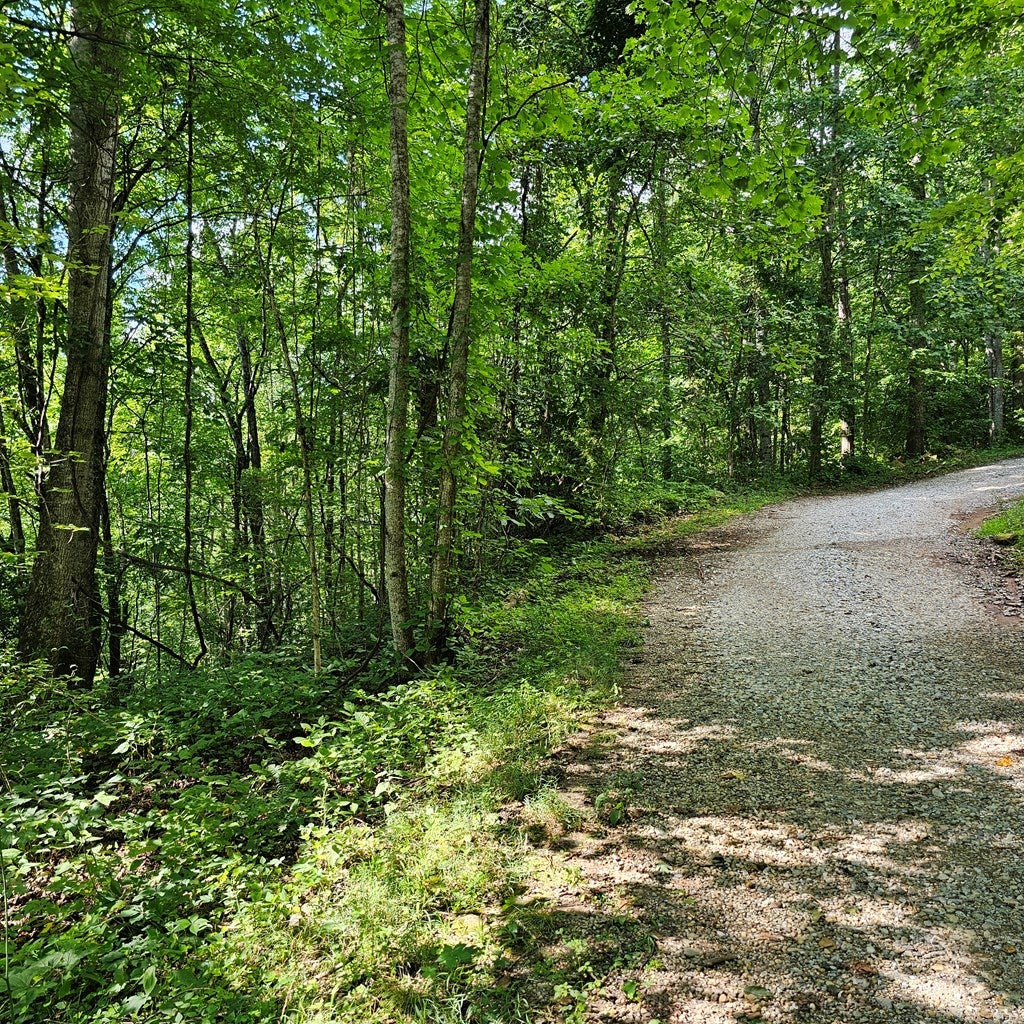 0 Lot 2c Pigeon Creek Road