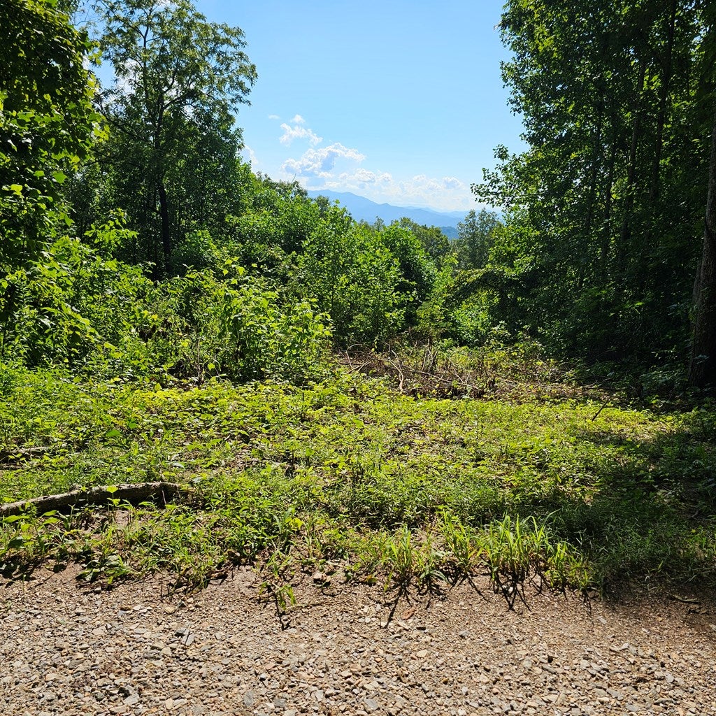 0 Lot 2c Pigeon Creek Road