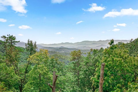 Photo of 1268 Coon Creek Rd, Franklin, NC 28734 (MLS # 26048065)