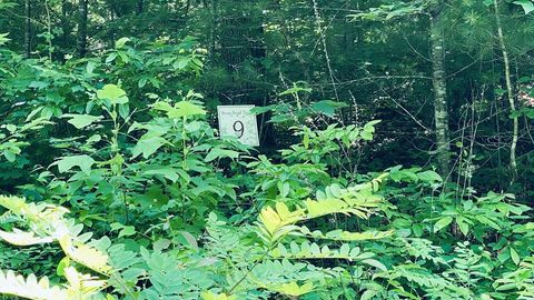 Photo of Lot 9 River Road Trace, Franklin, NC 27516 (MLS # 26047520)
