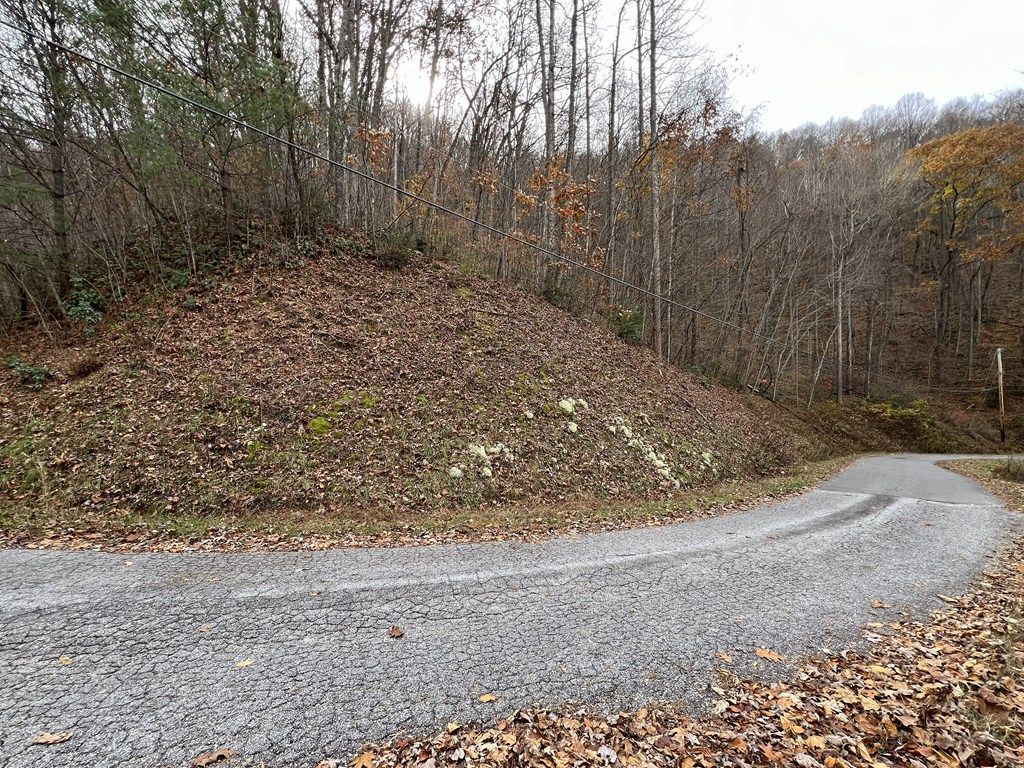 Photo of Lot 7 Deer Ridge Rd, Bryson City, NC 28713 (MLS # 26042655)