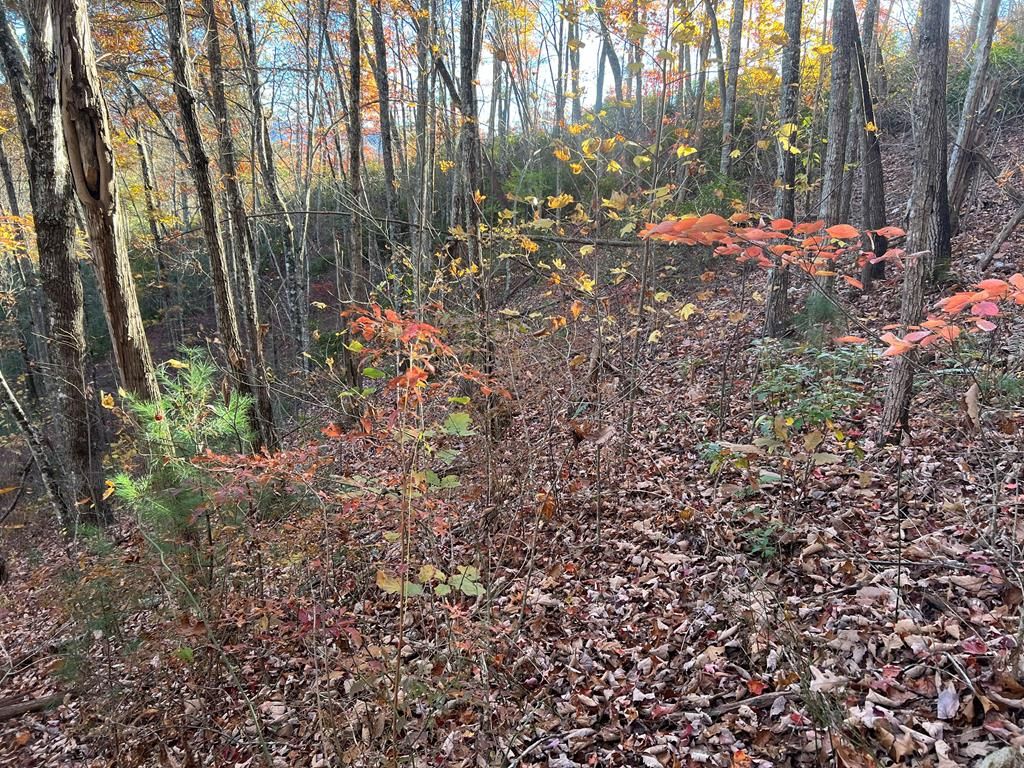 Photo of Lot 7 Deer Ridge Rd, Bryson City, NC 28713 (MLS # 26042655)